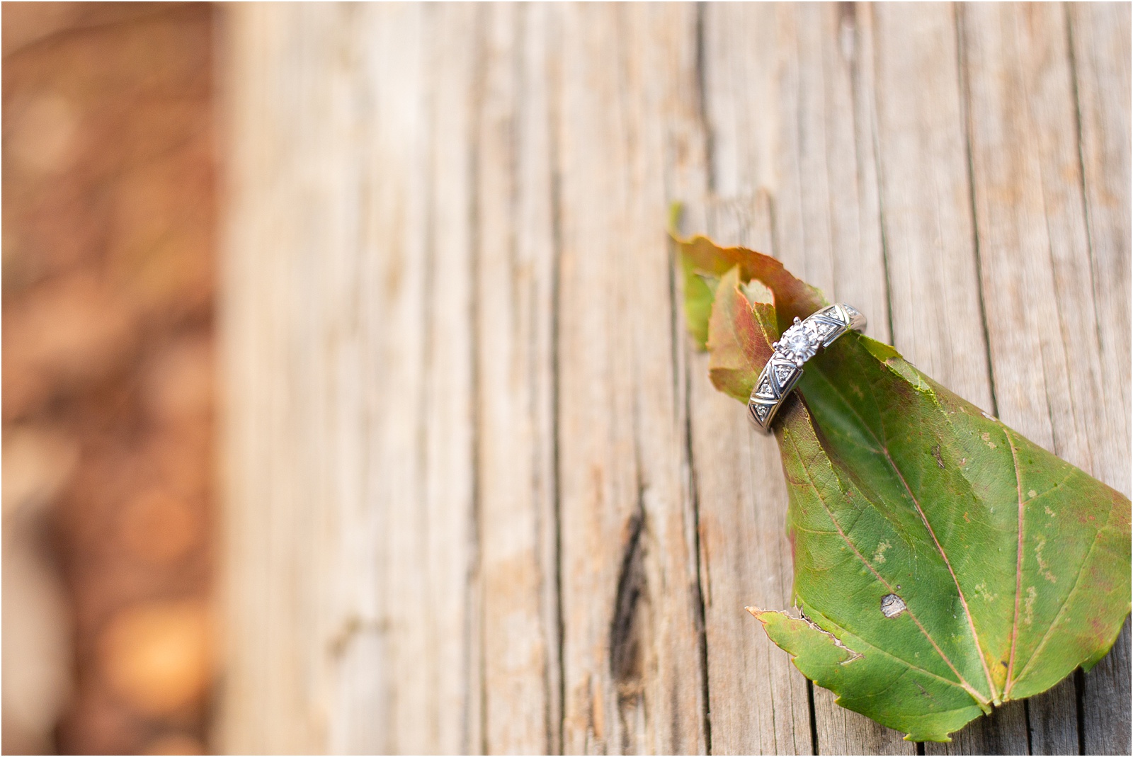 Diamond woman's ring around tree leaf