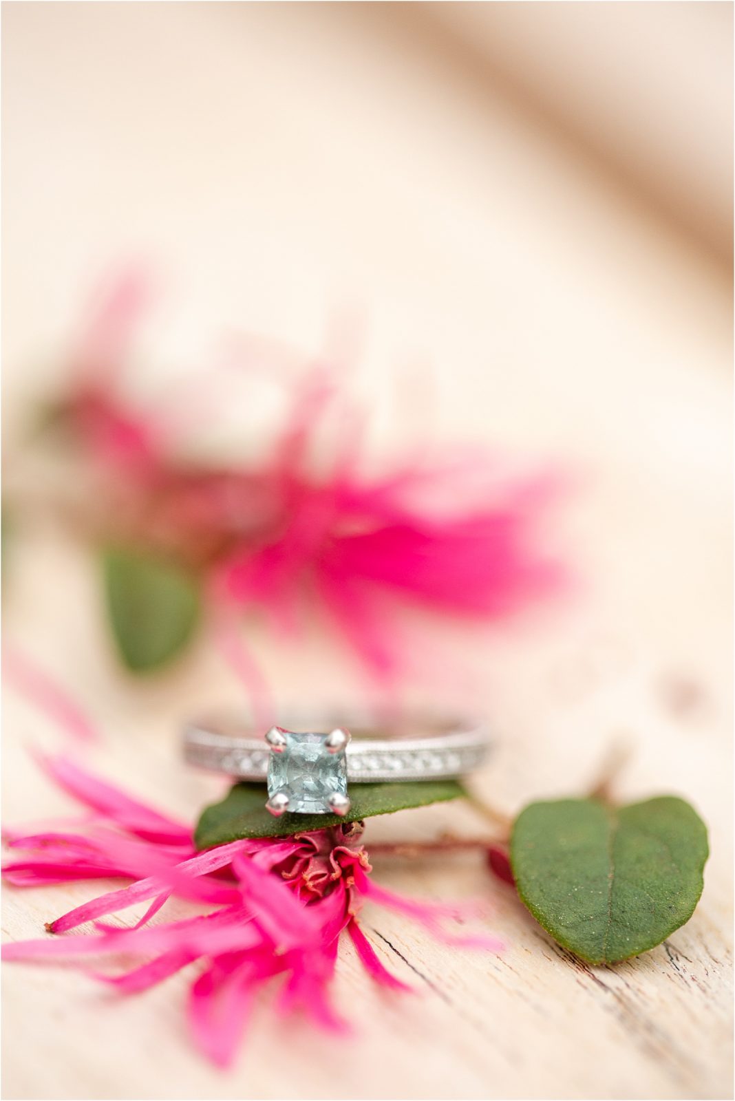 Engagement ring on pink flowers