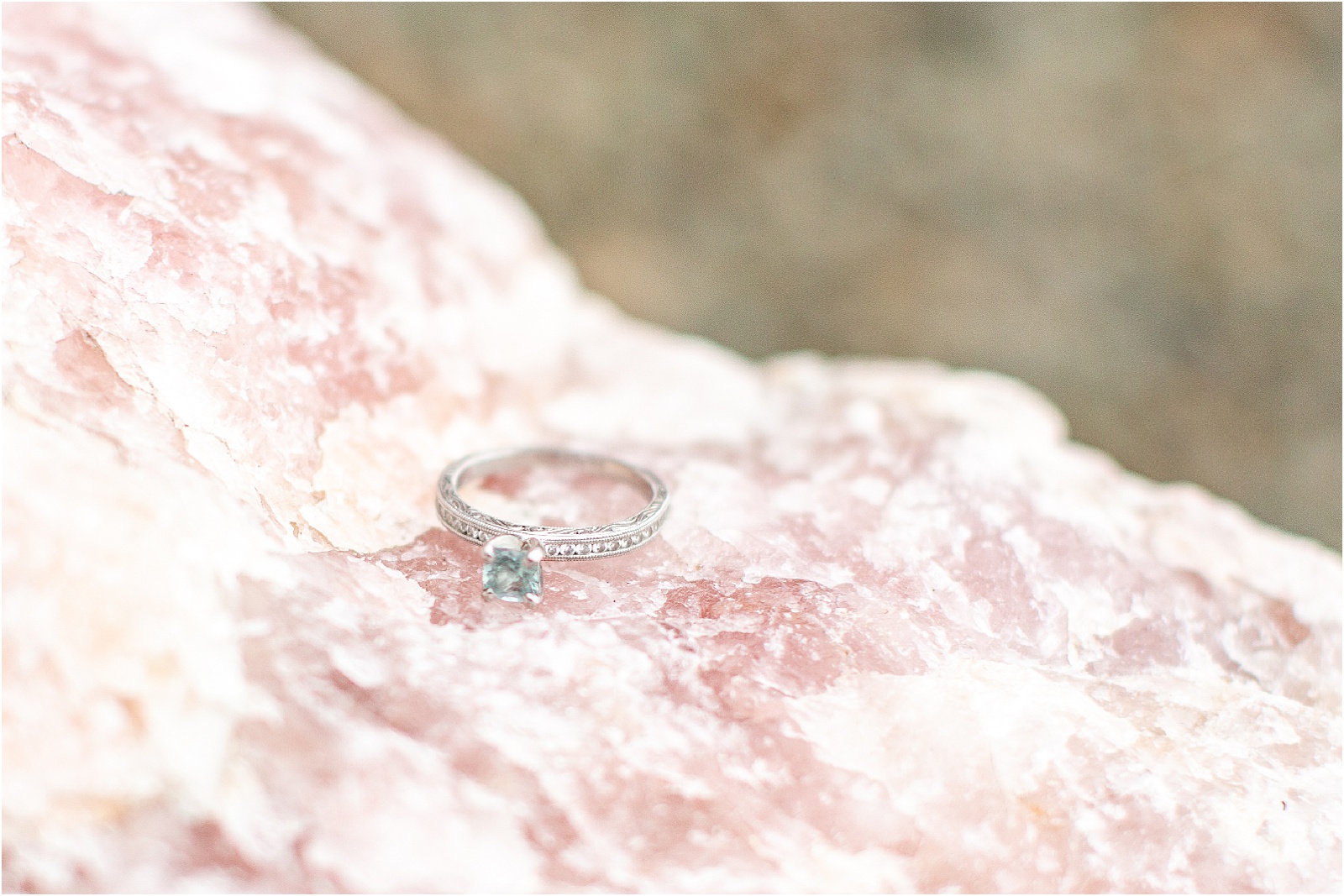 engagement ring in clemson botanical gardens