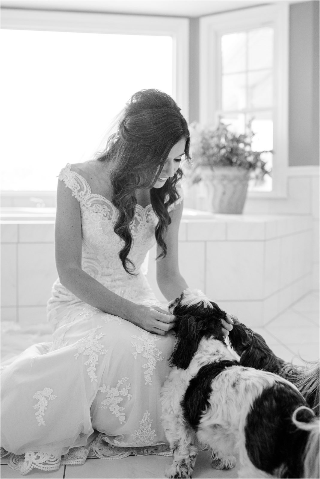 bride in wedding dress petting dogs