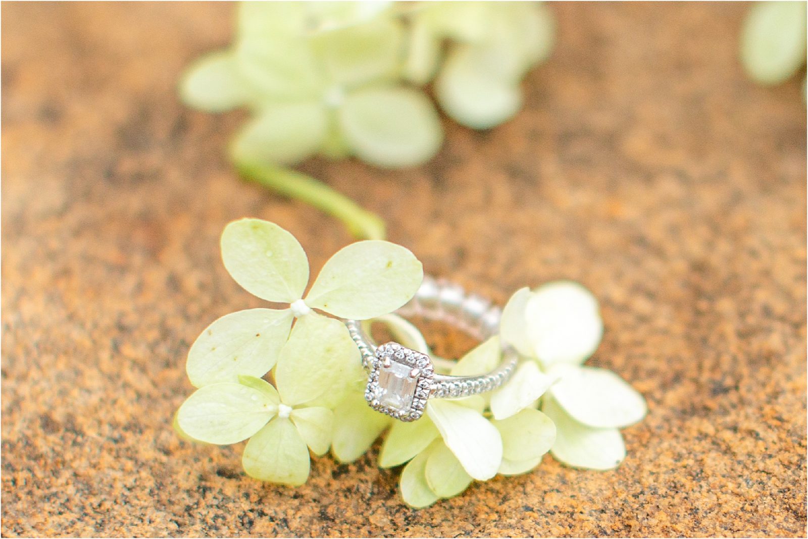 Diamond engagement ring with flowers on stone