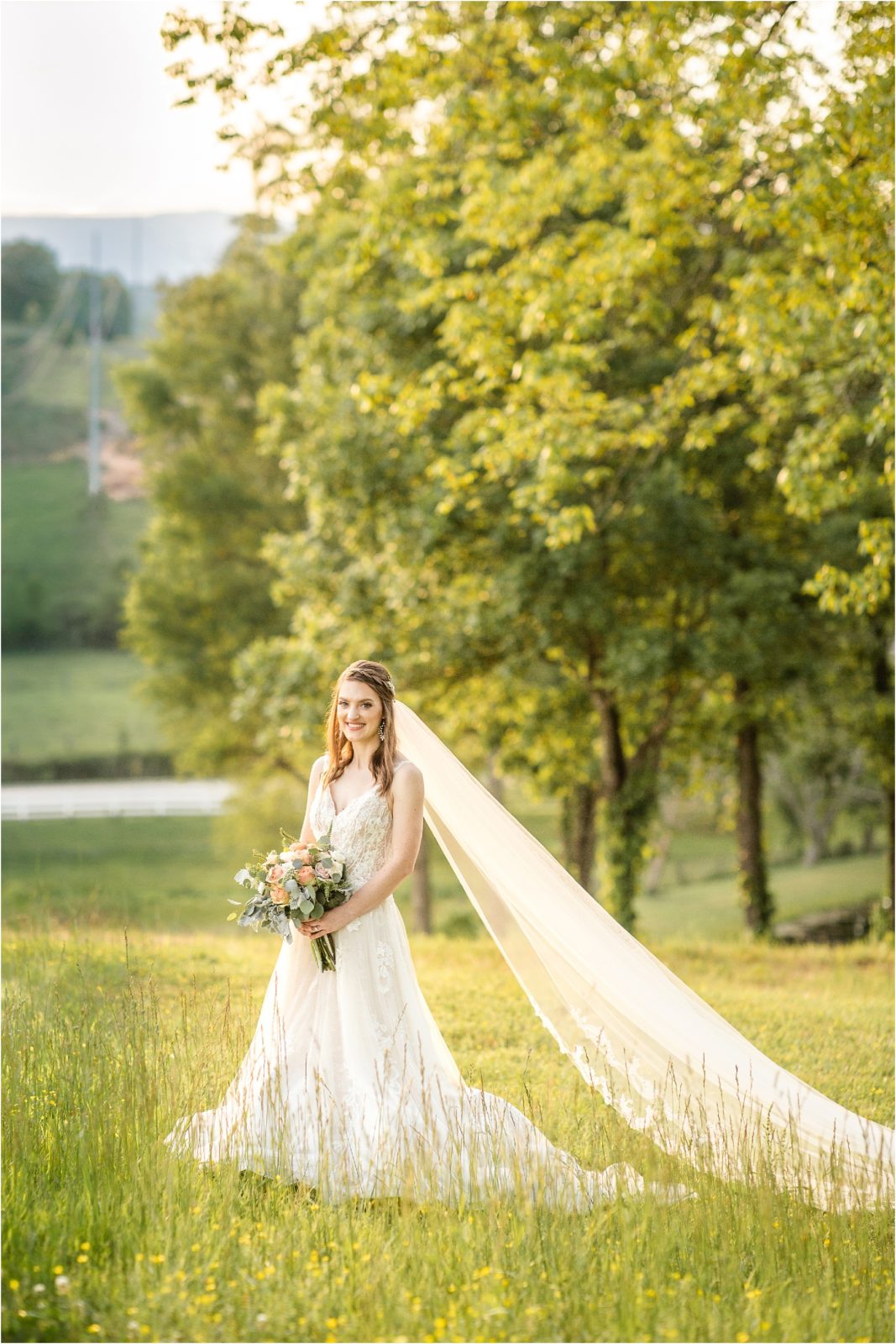 Greenville Bride standing in a field at sunset