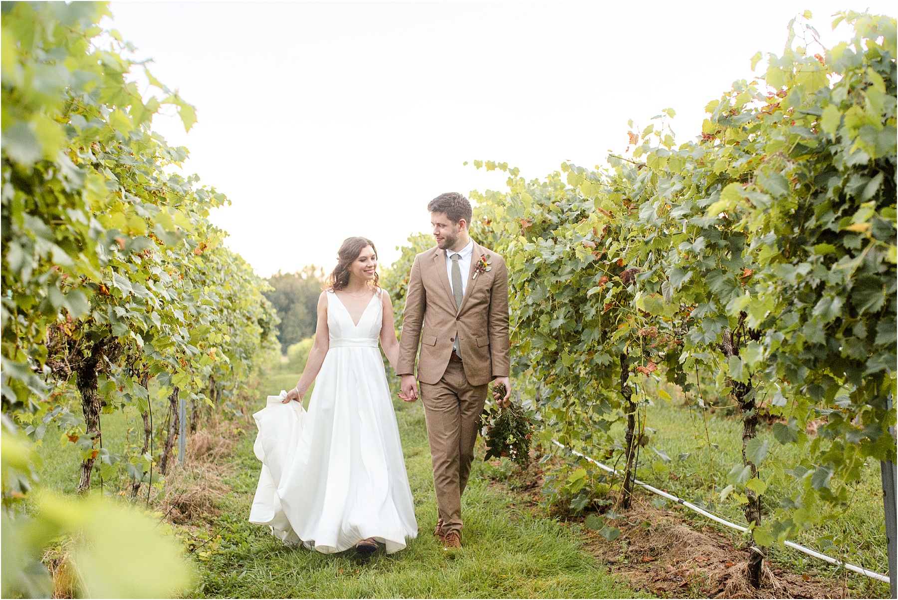 Married couple walking in wedding clothes through vineyards